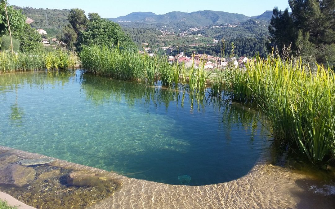 Piscinas ecológicas o biopiscinas