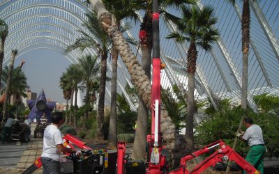 Empresas de jardinería en Valencia