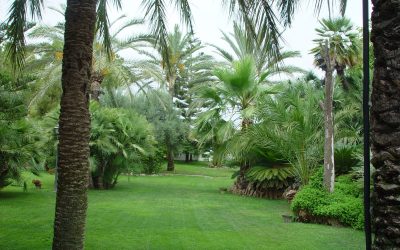Mantenimiento de jardines