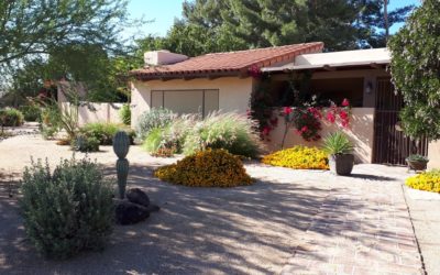 Tu Jardín: sencillez, simplicidad y reflexión