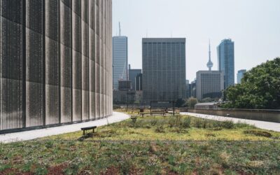 Jardinería Sostenible