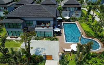 No solo de agua viven tus plantas…