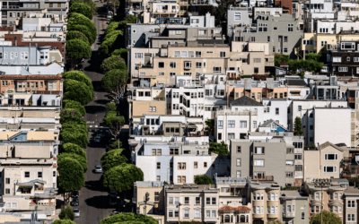 La necesaria correcta gestión del Arbolado