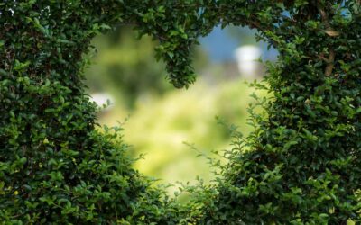 Comunicado medidas especiales de Sol i Vent Paisatges frente a COVID-19