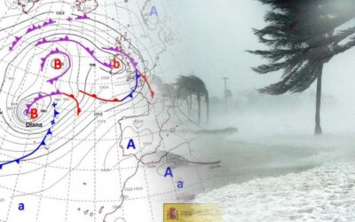 Vigilancia en el árbol y el jardín: Siempre es importante