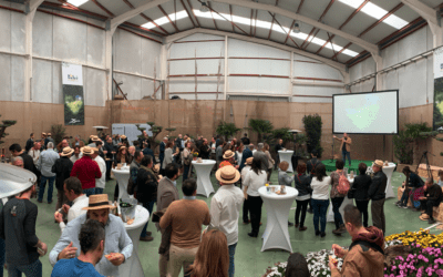 Celebrando 25 años de éxitos…¡Gracias!