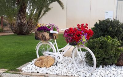 Sol i Vent Paisatges: seguimos trabajando para ti