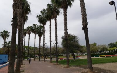 Somos adjudicatarios del Contrato de Gestión integrada de plagas del Municipio de Alaquàs