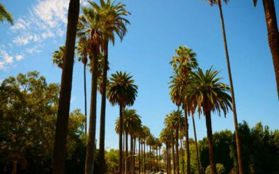 Sol i Vent Paisatges. Época estival: Intensificamos nuestra actividad