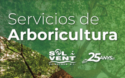 Te ofrecemos Servicios de Arboricultura