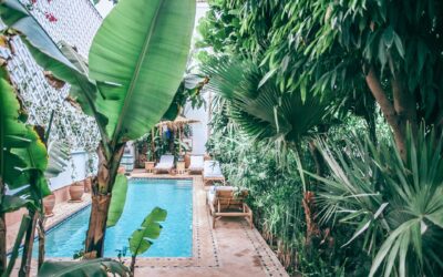 ¡Es el momento de renovar tu jardín! te ayudamos con este plan: