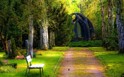 Primavera intensa: recuerda vigilar las posibles plagas en tu jardín