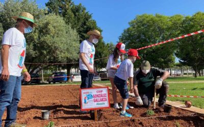 Solivent Paisatges colabora en la XXXIII trobada de les escoles en valencià Horta Sud, Alaquàs