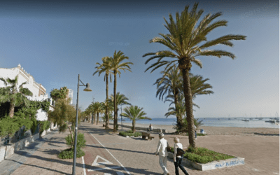 El ayuntamiento de San Javier (Murcia) consigue controlar el picudo rojo en las palmeras