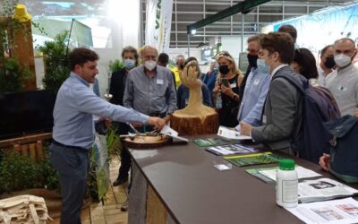 Finaliza el 50 aniversario de Iberflora