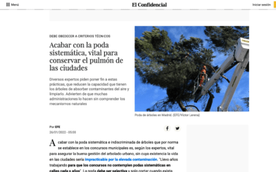 Lectura imprescindible: «Acabar con la poda sistemática»
