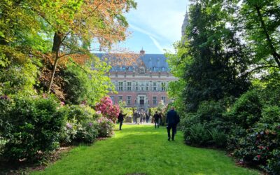 Sol i Vent Paisatges en Paises Bajos con la Asociación Europea de constructores de jardines (ELCA)