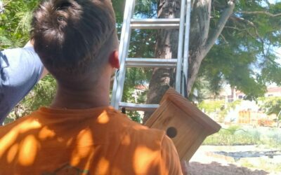 “Smart Green Indus Park”: los alumnos de la EFA LA MALVESÍA aprenden a fabricar «Hoteles para insectos»