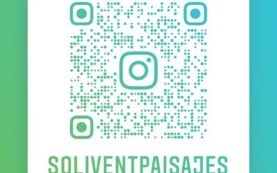 ¡Síguenos en Instagram!