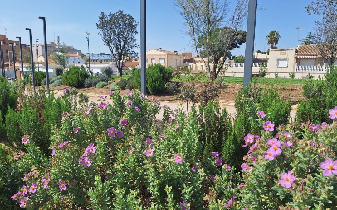 Sol i Vent Paisatges: Paisajismo mediterráneo con alma sostenible