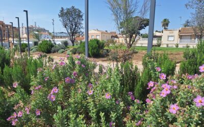 Preparándonos para la Primavera: 5 labores a realizar en tu jardín