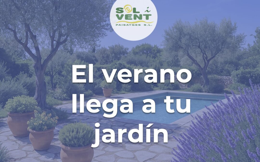 Tareas imprescindibles para el jardín este verano