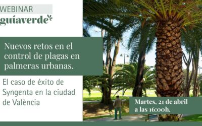 Sol i Vent Paisatges participará en el Webinar gratuito de Guíaverde Online: Nuevos retos en el control de plagas en palmeras urbanas – 21 de abril 16:00h