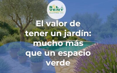 El valor de tener un jardín: mucho más que un espacio verde