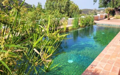 Nuestras piscinas ecológicas. Proyectos recientes