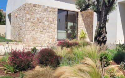 Jardín mediterráneo. Parte 2: La armonía de los materiales y la vegetación