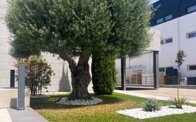 Un jardín corporativo que refleja la identidad de la empresa
