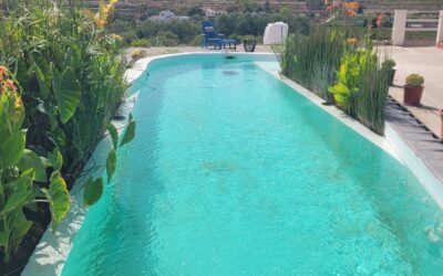 ¿Piscina o jardín? ¿Por qué elegir?