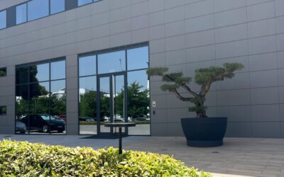 Recorrido por un jardín corporativo. Parte 3: La primera impresión en la entrada principal